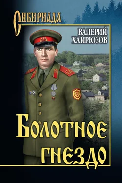 Валерий Хайрюзов Болотное гнездо (сборник) обложка книги