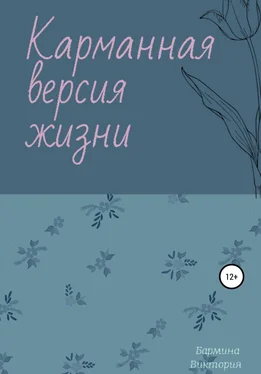 Виктория Бармина Карманная версия жизни обложка книги