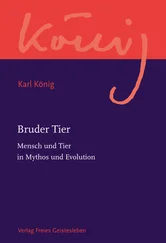 Karl König - Bruder Tier