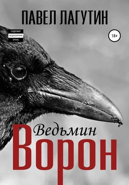 Павел Лагутин Ведьмин ворон обложка книги