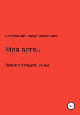 Александр Коробов Моя ветвь обложка книги