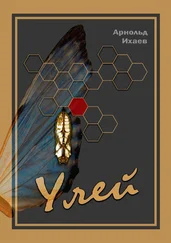 Арнольд Ихаев - Улей