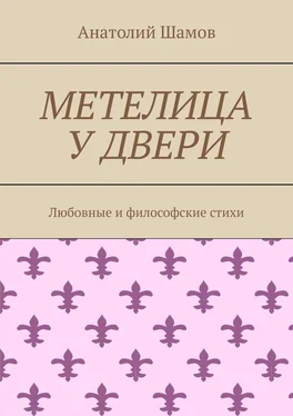 Анатолий Шамов Метелица у двери. Любовная и философская лирика обложка книги