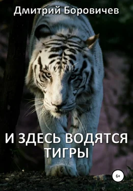 Дмитрий Боровичев И здесь водятся тигры обложка книги