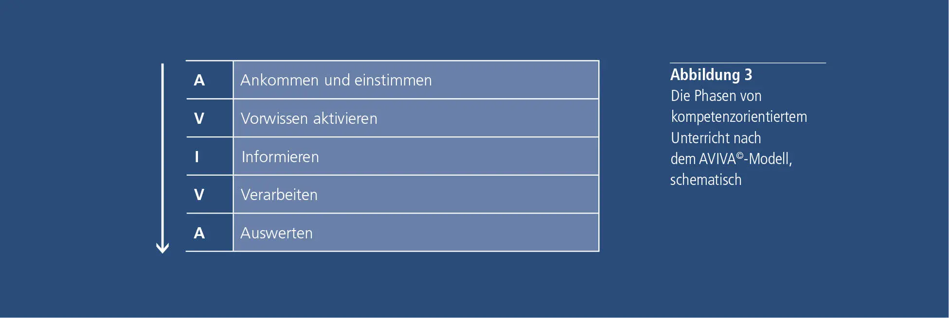 Kompetenzorientiert zu unterrichten bedeutet also kurz gefasst dass wir den - фото 6