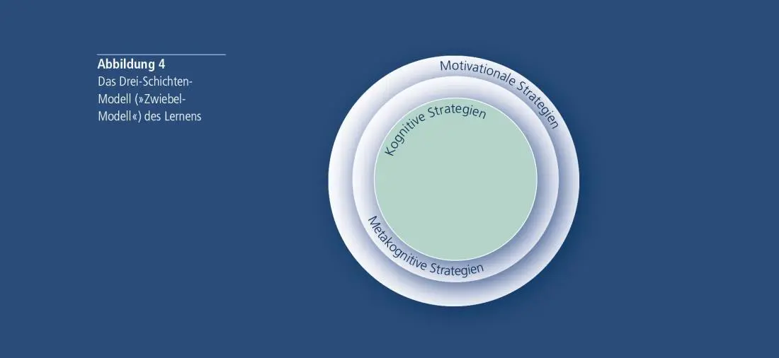 Die kognitiven Strategien bilden die innerste Schicht des ZwiebelModells - фото 7