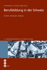 Philipp Gonon - Berufsbildung in der Schweiz (E-Book)