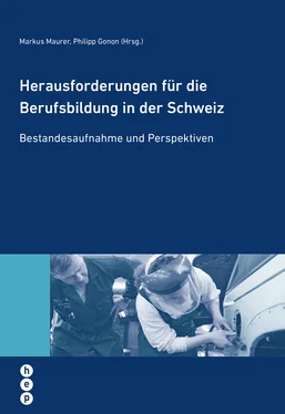 Markus Mäurer Herausforderungen für die Berufsbildung in der Schweiz обложка книги