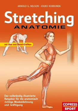 Jouko Kokkonen Stretching Anatomie обложка книги