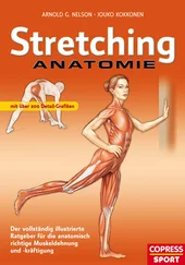 Jouko Kokkonen - Stretching Anatomie