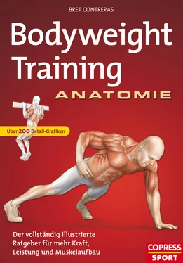 Bret Contreras Bodyweight Training Anatomie обложка книги