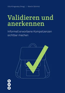 Martin Schmid Validieren und anerkennen (E-Book) обложка книги