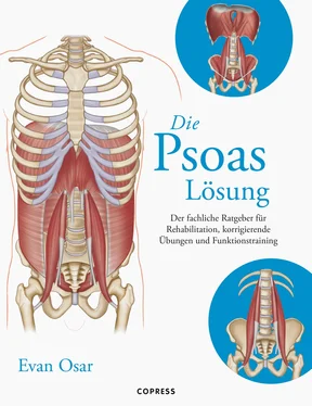 Evan Osar Die Psoas-Lösung обложка книги