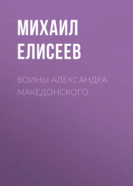 Михаил Елисеев Воины Александра Македонского обложка книги