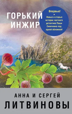 Анна и Сергей Литвиновы Горький инжир (сборник) обложка книги