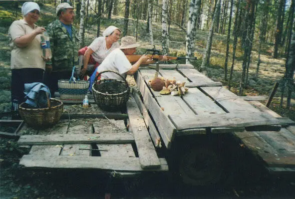 Волки медведи лисы Способы их добычи - фото 33