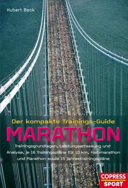 Hubert Beck Der kompakte Trainings-Guide Marathon обложка книги