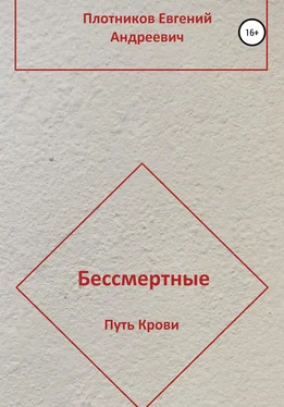 Евгений Плотников Бессмертные. Путь Крови обложка книги