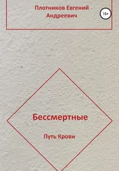 Евгений Плотников - Бессмертные. Путь Крови