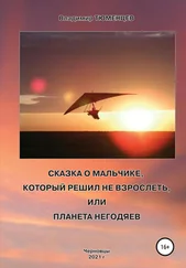 Владимир Тюменцев - Сказка о Мальчике, который решил не взрослеть, или Планета негодяев