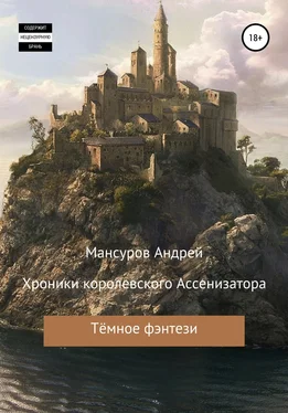 Андрей Мансуров Хроники королевского Ассенизатора обложка книги