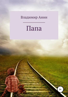 Владимир Анин Папа обложка книги