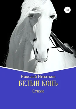 Николай Игнатков Белый конь обложка книги