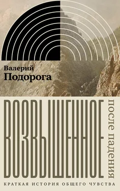 Валерий Подорога Возвышенное. После падения. Краткая история общего чувства обложка книги