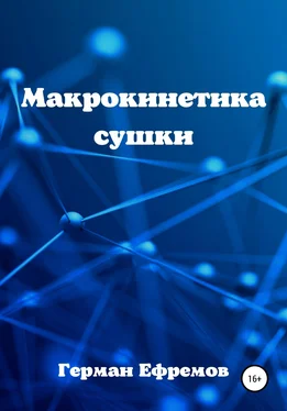 Герман Ефремов Макрокинетика сушки обложка книги