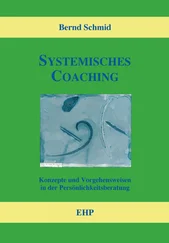 Bernd Schmid - Systemisches Coaching