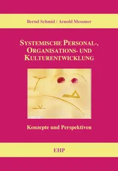 Bernd Schmid - Systemische Personal-, Organisations- und Kulturentwicklung
