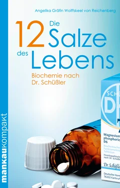 Angelika Gräfin Wolffskeel von Reichenberg Die 12 Salze des Lebens. Biochemie nach Dr. Schüßler обложка книги