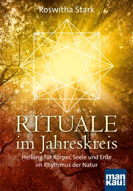 Roswitha Stark Rituale im Jahreskreis обложка книги