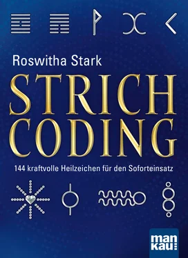 Roswitha Stark Strichcoding обложка книги