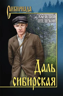 Василий Шелехов Даль сибирская (сборник) обложка книги