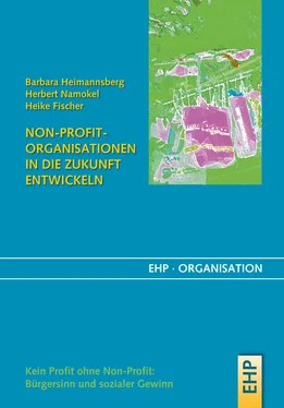 Heike Fischer Non-Profit-Organisationen in die Zukunft entwickeln обложка книги