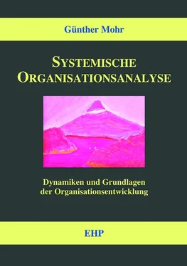 Günther Mohr Systemische Organisationsanalyse обложка книги