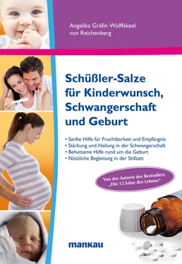 Angelika Gräfin Wolffskeel Schüßler-Salze für Kinderwunsch, Schwangerschaft und Geburt обложка книги