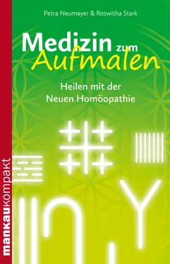 Petra Neumayer Medizin zum Aufmalen. Heilen mit der Neuen Homöopathie обложка книги