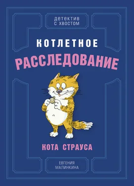 Евгения Малинкина Котлетное расследование кота Страуса обложка книги