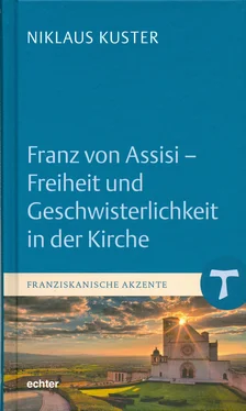 Niklaus Kuster Franz von Assisi - Freiheit und Geschwisterlichkeit in der Kirche обложка книги