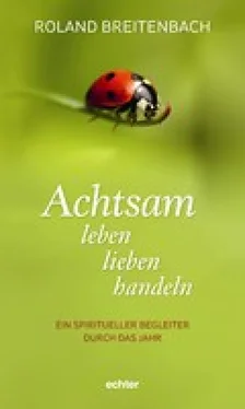 Roland Breitenbach Achtsam leben, lieben, handeln обложка книги