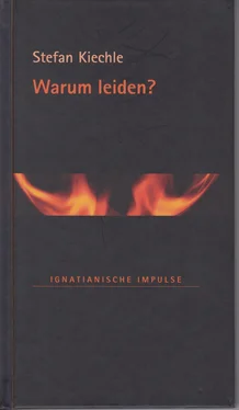 Stefan Kiechle Warum leiden? обложка книги
