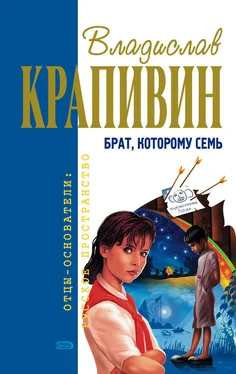 Владислав Крапивин Брат, которому семь обложка книги