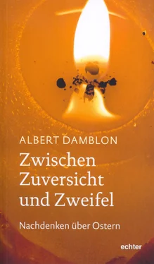 Albert Damblon Zwischen Zuversicht und Zweifel обложка книги