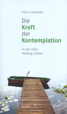 Karin Seethaler Die Kraft der Kontemplation обложка книги