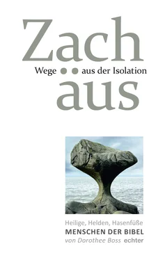 Dorothee Boss Wege aus der Isolation: Zachäus обложка книги