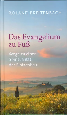 Roland Breitenbach Das Evangelium zu Fuß обложка книги