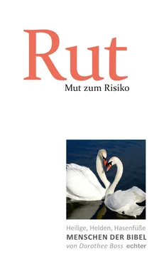 Dorothee Boss Mut zum Risiko: Rut обложка книги