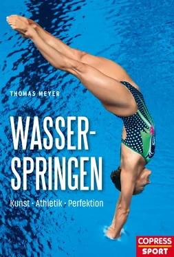 Thomas Meyer Wasserspringen обложка книги